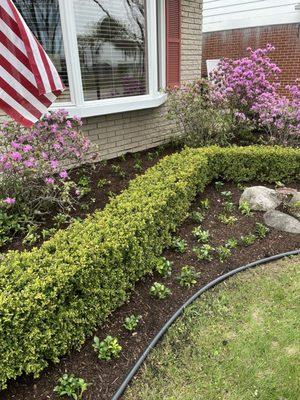 New Image Lawn and Landscape