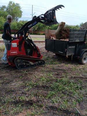 C Haynes Tree And Lawn Service