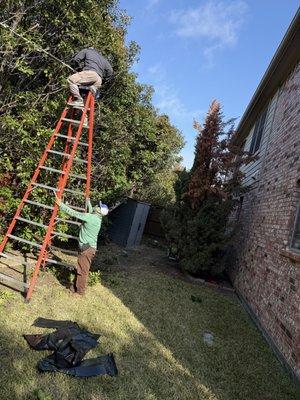 Lawn and Go