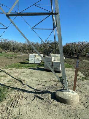 Acosta Honey Farms