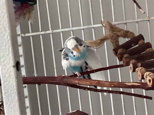 Skateaway - Shillington, PA