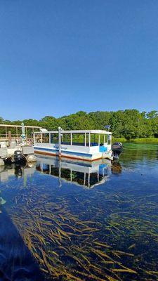 Edward Ball Wakulla Springs State Park