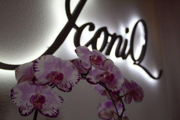 Iconiq Day Spa