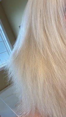 Shear Faith Salon & Spa