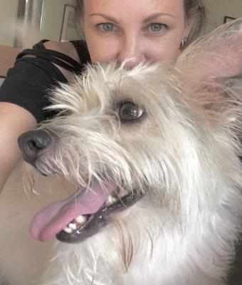 PBJ Pet Care Service