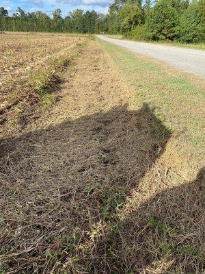 BlackWater Hauling and Land Clearing