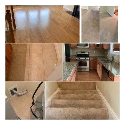 Pink Gloves Carpet Cleaning