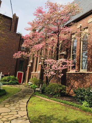 Christ Church Episcopal