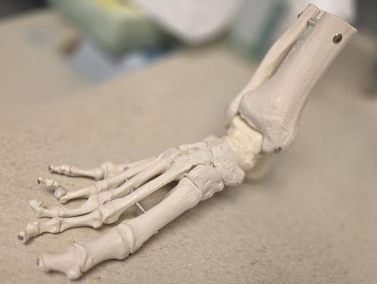 Capital Foot & Ankle