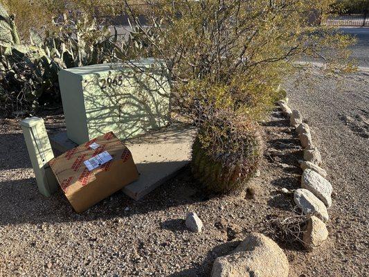 How UPS DELIVERS- this is where I found my package this morning. I just happened to notice it driving out of my driveway.