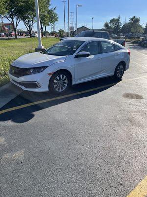 2019 White Honda Civic