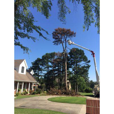Dunlap Tree & Land Services