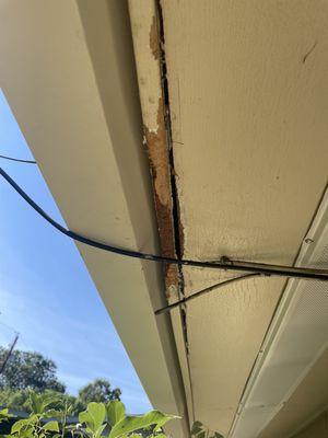 Animal Wildlife Trappers