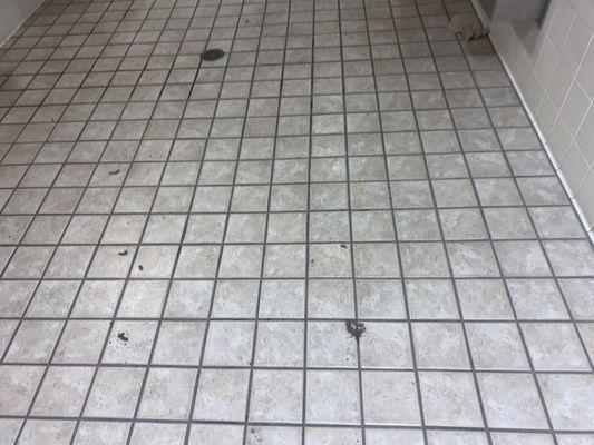 Flying J Travel Plaza