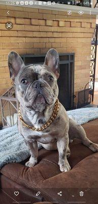 Wheelers Auto Service Inc