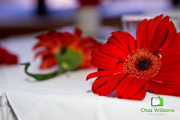 Chaz Williams Photography