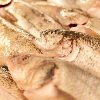 A diverse selection of fresh fish is available at the best market in Granada Hills.