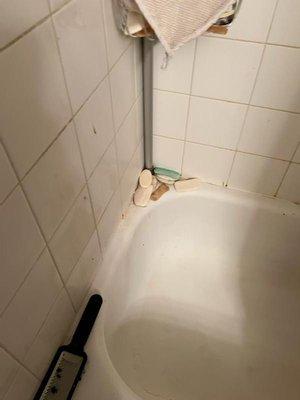 Chavez’s House Cleaning