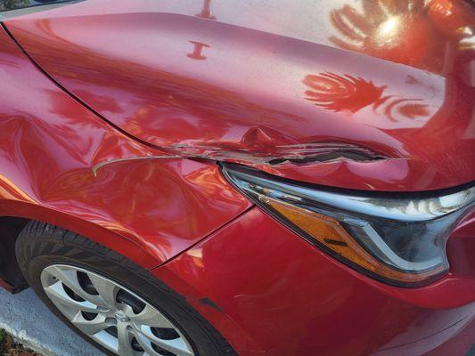 South Point Collision Center