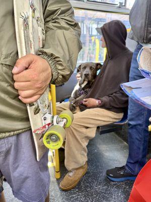 MUNI - 7 Haight-Noriega