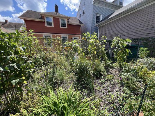 Cute garden in the back parking lot