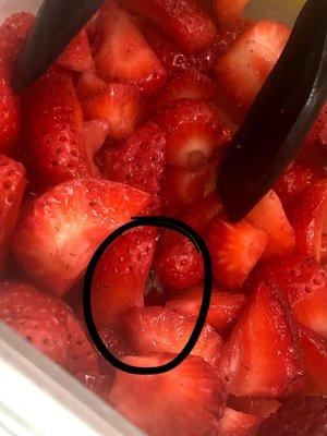 Dead fly on the strawberries