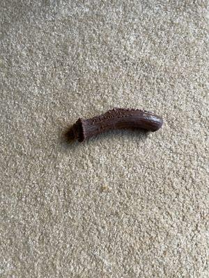 This dog chew toy oddly reminds me of Nicks Junk 