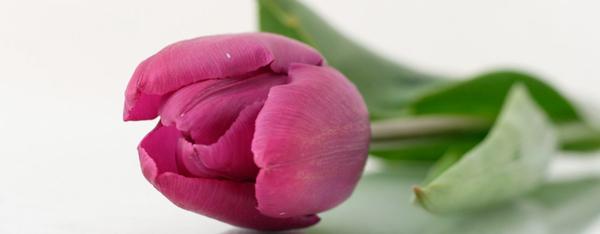 Cindy's List Funeral Concierge & Inheritance Protection