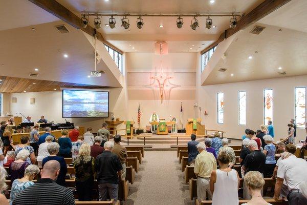 Shepherd of the Desert