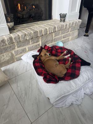 Huntingdon Animal Clinic