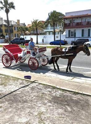Owner of the company Fred Pezza and horse Chocolate Moose