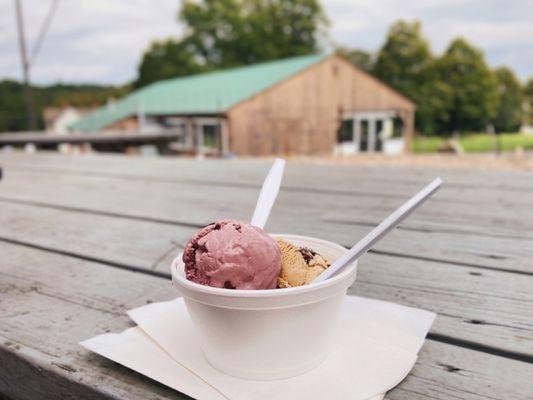 Purple Calf & Gravel Road