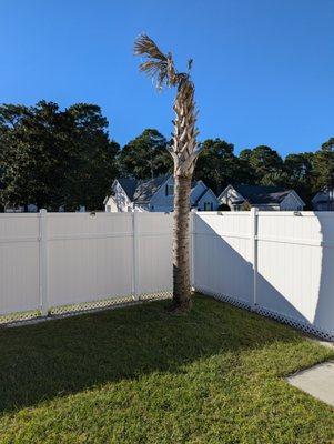 Buenavista Landscaping