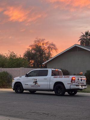 Sandstorm Pest Control