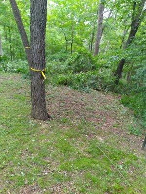 Cleaning this land out