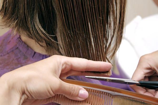 Beautiful hair needs an expert!