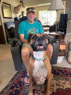 Van Veterinary Clinic