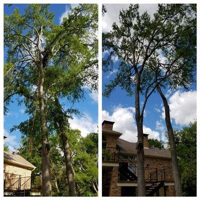 Lucky'sTree Service