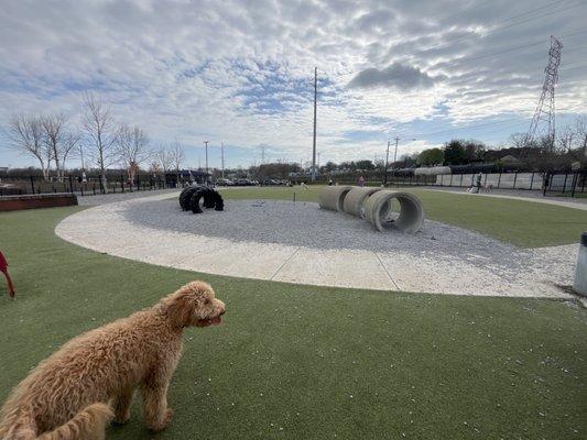 Fair Park Dog Park