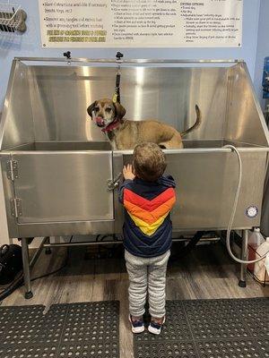 Shedquarters Self Pet Wash & Pet Supplies