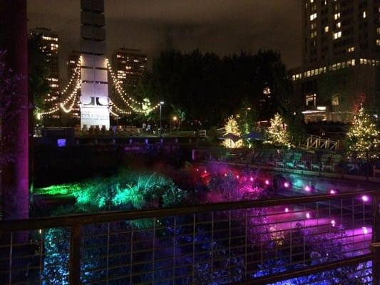 Night view opposite from the harbor (harbor park the cutest park ever!)