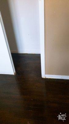 Sparkling Cleaning Service