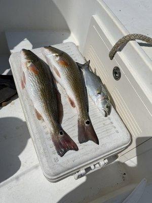 Keel-N-Time Fishing Charters