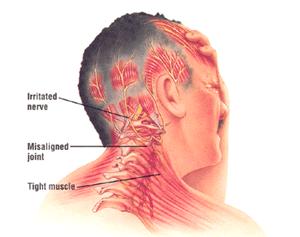 Carpenter Chiropractic Clinic