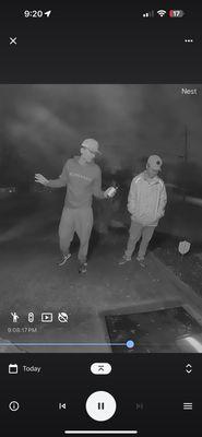 Urbanex Pest Control