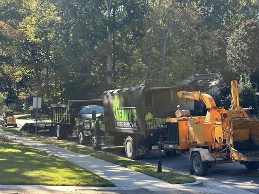 Tree service in Fuquay Varina.
