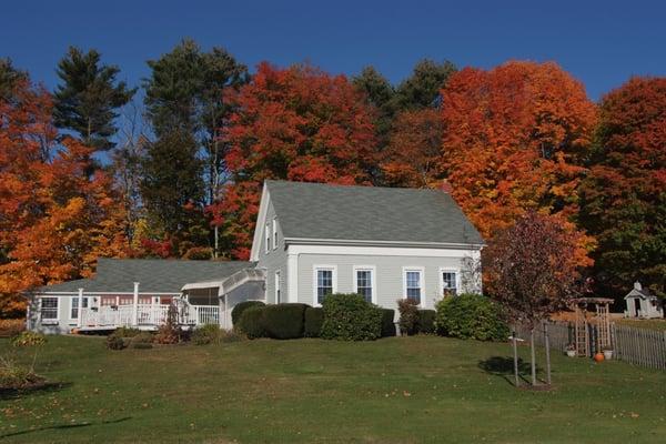 Cricket Hunt School