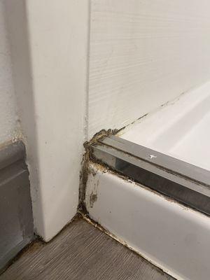 Gross bathroom shower