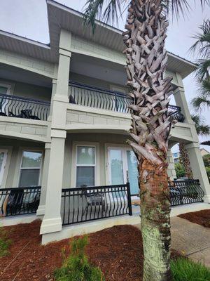 Beach House for Thanksgiving week.