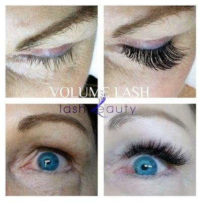 Lash Beauty